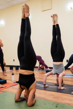 Bumble Bee Power Yoga 7 21 24 1042004 websize