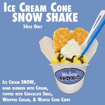 Ice Cream Cone SHAKE 1
