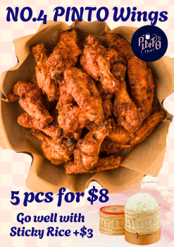 PINTO Wings