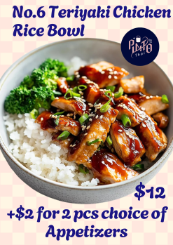 Teriyaki Chicken zip 1